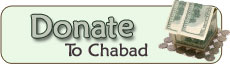 Donate Button 1.jpg